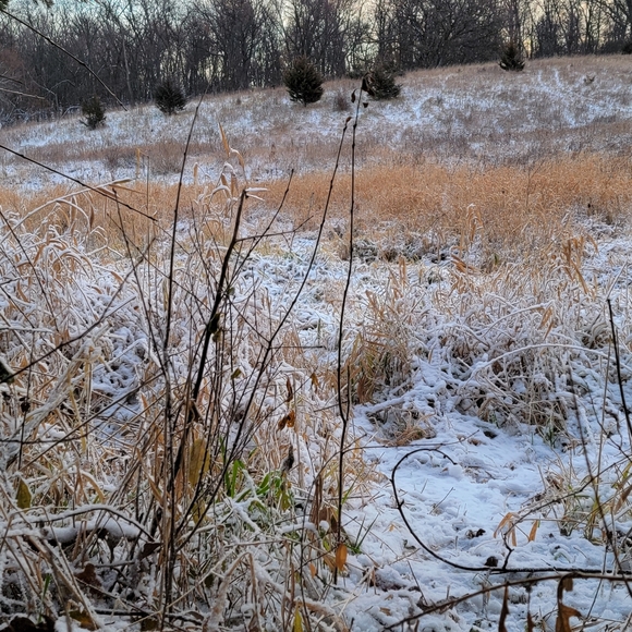 Meet your Posher, Brody - Picture 2 of 12